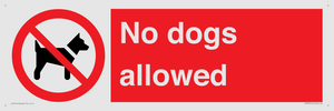 No dogs allowed